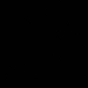 Meet your Posher, Ximena